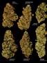Page: - 16 | High Times
