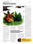 Page: - 24 | High Times