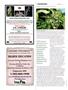 Page: - 38 | High Times