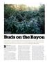 Page: - 64 | High Times