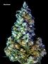 Page: - 70 | High Times