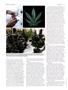 Page: - 84 | High Times