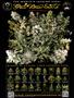 Page: - 89 | High Times