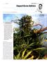 Page: - 99 | High Times