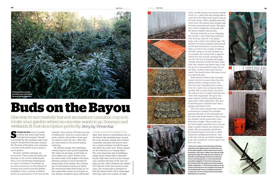 Buds on the Bayou