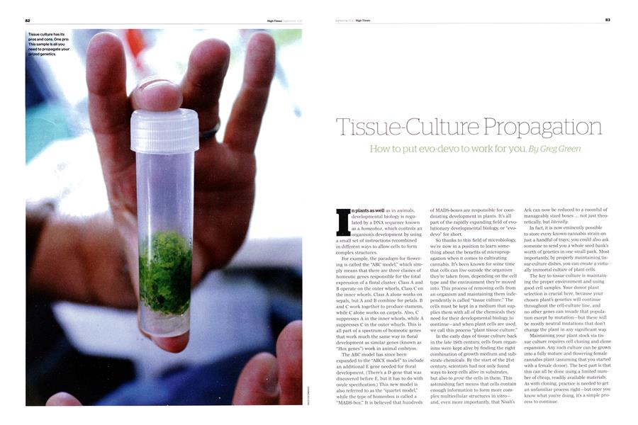 Tissue-Culture Propagation