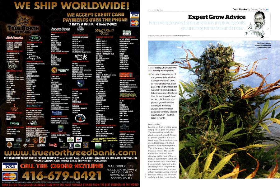 Expert Grow Advice