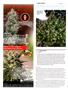 Page: - 104 | High Times