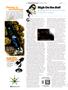 Page: - 110 | High Times