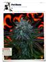 Page: - 120 | High Times