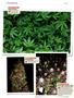 Page: - 124 | High Times