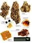 Page: - 13 | High Times