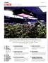 Page: - 4 | High Times