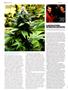 Page: - 48 | High Times