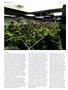 Page: - 62 | High Times