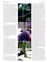 Page: - 64 | High Times
