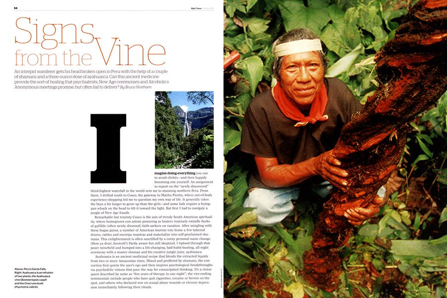 Signs from the Vine