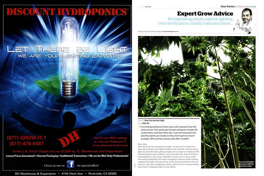 Expert Grow Advice