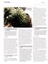 Page: - 100 | High Times