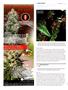 Page: - 104 | High Times