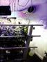 Page: - 13 | High Times
