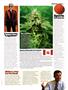 Page: - 23 | High Times