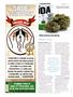 Page: - 36 | High Times