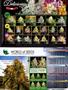 Page: - 39 | High Times
