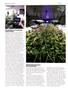 Page: - 46 | High Times