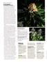Page: - 64 | High Times