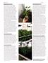 Page: - 78 | High Times
