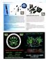 Page: - 90 | High Times