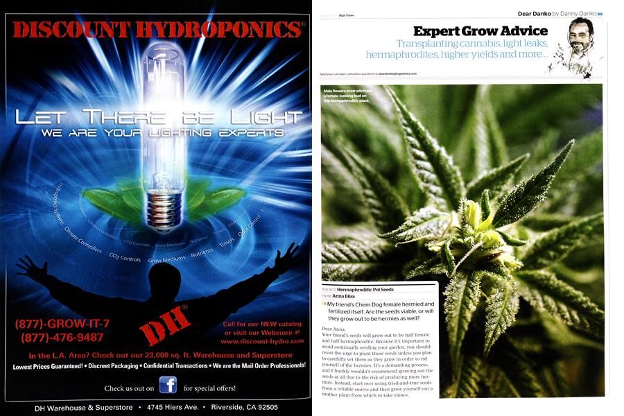 Expert Grow Advice
