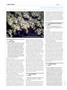 Page: - 100 | High Times