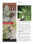 Page: - 104 | High Times