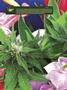 Page: - 12 | High Times