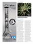 Page: - 36 | High Times