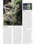 Page: - 48 | High Times