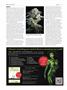 Page: - 50 | High Times