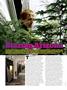 Page: - 54 | High Times