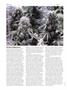 Page: - 56 | High Times