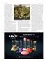 Page: - 58 | High Times