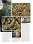 Page: - 75 | High Times