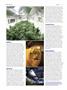 Page: - 78 | High Times