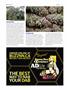 Page: - 80 | High Times
