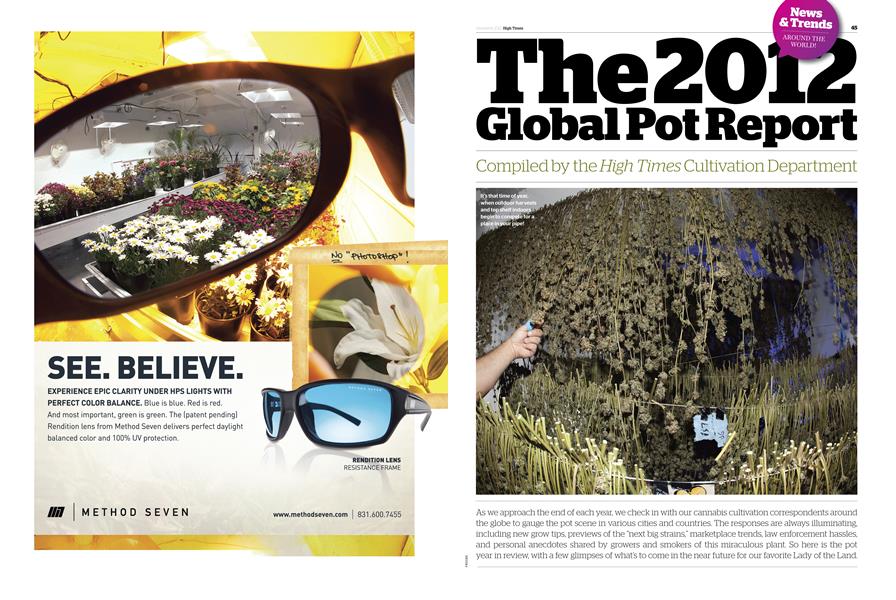 The 2012 Global Pot Report