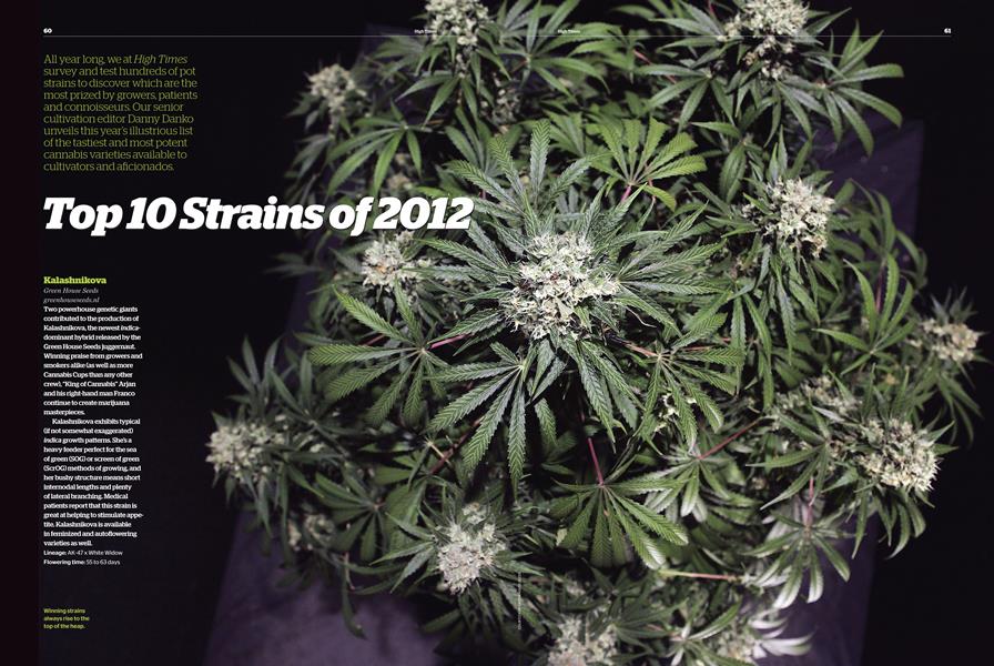 Top 10 Strains of 2012