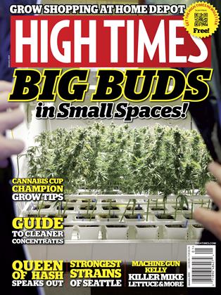 January 2013 | High Times