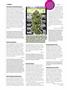 Page: - 10 | High Times