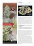 Page: - 104 | High Times